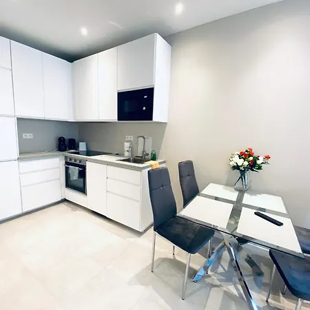 The Entire 2 Rooms, Balcony, Sea View Nizza